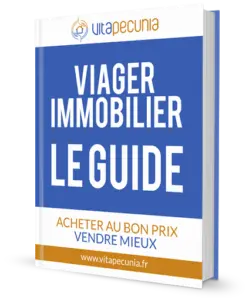 presentation Ebook vita pecunia